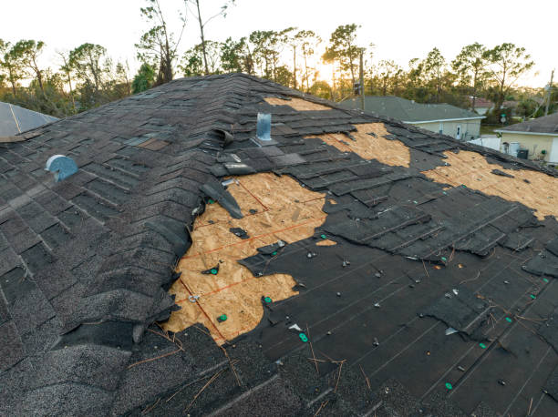 Best Commercial Roofing Services  in Santa Moni, CA